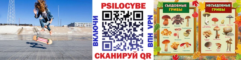 Купить  Баксан  Псилоцибиновые грибы мухоморы 